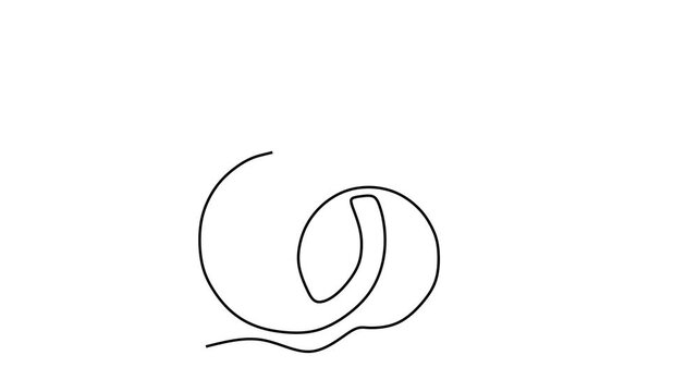 Animated self drawing of continuous line draw of  Two intertwined female symbols.  Full length one line animation. 4K