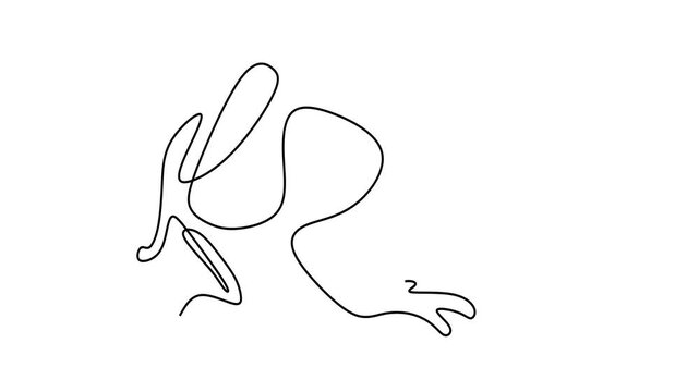 Animated self drawing of continuous line draw of   Frog   Full length one line animation. 4K