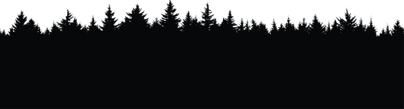 Wide pine forest silhouette border against white sky creating minimalist wilderness landscape background ideal for banners, headers, and stock design