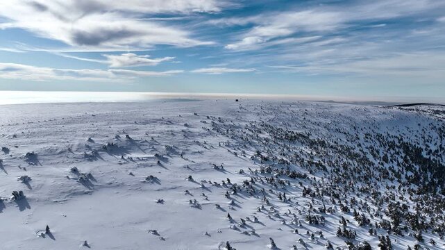 Jeseniky mountain amazing magic sky aerial drone shot during winter natural ice form spruce tree Picea forest snow frost cold cool ice tundra biome frigid temperature birds eye top view footage