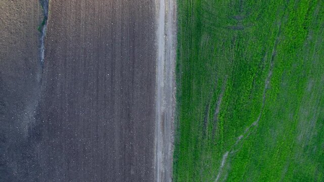 Aerial drone footage capturing an agricultural scenery with a dirt road dividing a recently plowed brown field from a lush green planted crop