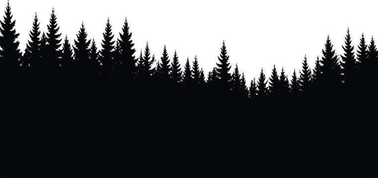 Wide pine forest silhouette horizon against white sky forming clean minimalist wilderness landscape background for banners and stock design