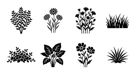 Black floral silhouettes, 8 botanical plant icons, garden flower vectors © Jim
