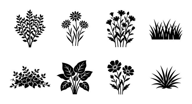 Black floral silhouettes, 8 botanical plant icons, garden flower vectors
