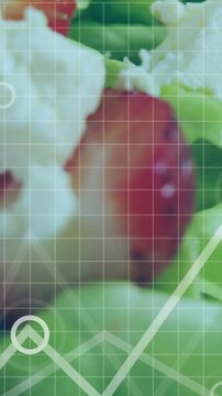 Vertical video: On start data overlays emerging, shifting over salad, following berry, showing data