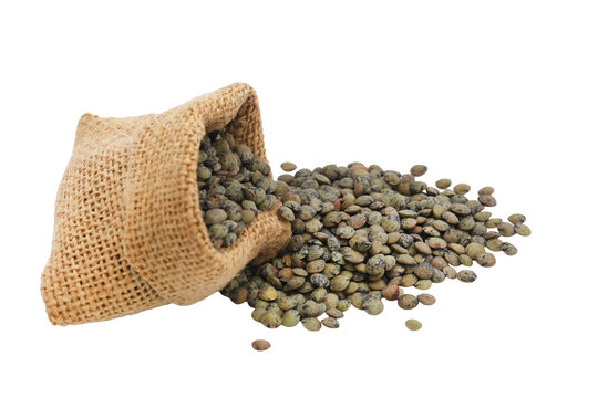 French Green lentils