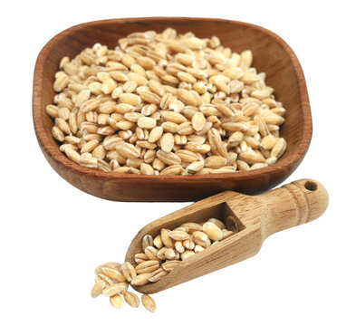 Whole organic pearl barley grain