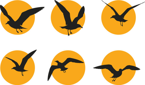 Six silhouette seagulls in flight against orange circles