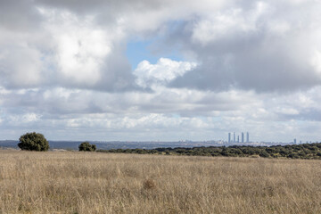 Fototapeta premium Madrid skyline standing tall over a field