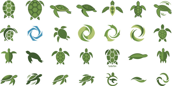 Sea Turtle Vector Set with Different Styles Poses and Icons Isolated on White Background
