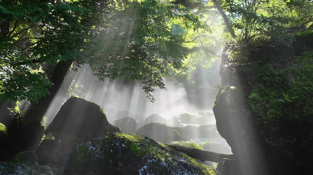 菊池渓谷の光芒