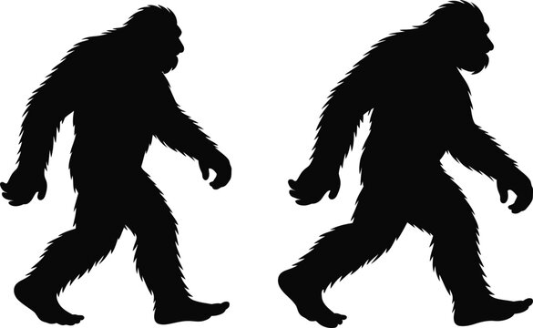 Two black silhouettes of bigfoot walking 