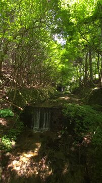 🇯🇵kyoto 『大原、三千院』