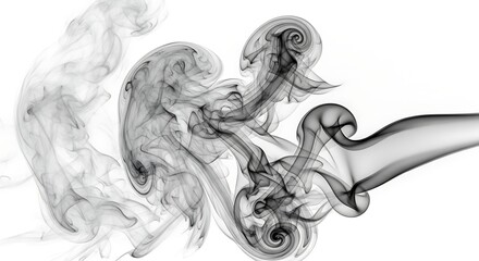 Fototapeta premium Elegant wisps of smoke dancing against a bright white background.