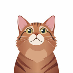 Obraz premium A surprised brown tabby cat with green eyes looks up curiously indoors at home.