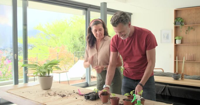 Talking woman in pink guiding man potting seedlings into clay pots on craft-paper at home, misting