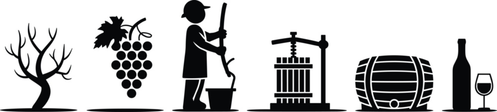 Winemaking process illustration, grapevine to wine glass, vineyard harvest, grape pressing, barrel aging, bottling, serving wine production stages