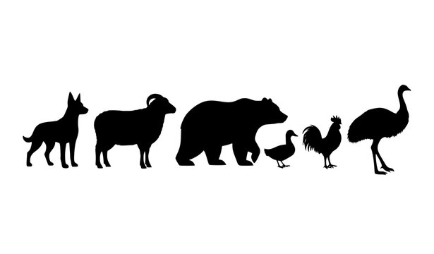 Animal silhouettes set with dog sheep bear duck rooster and emu simple black vector collection isolated on white