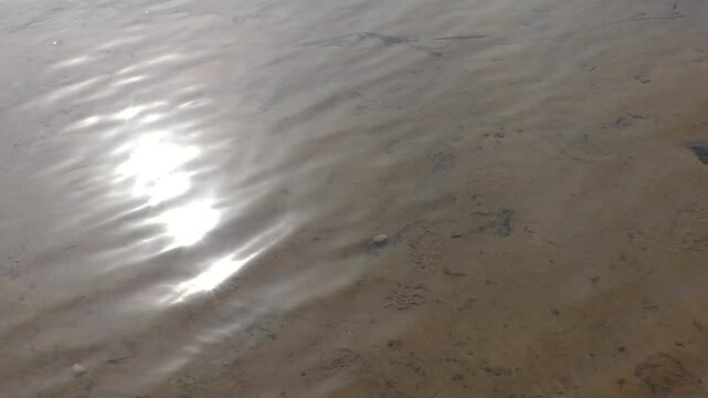 The transparent calm surface of the lake, the quiet water. The watery background is soothing.
