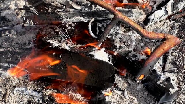 A campfire in nature, a fire on the branches of trees. Campfire in the forest.