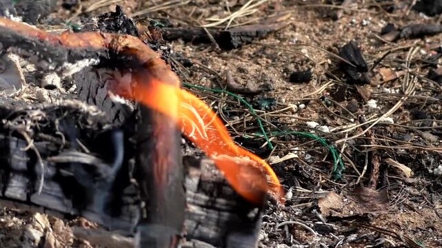 A campfire in nature, a fire on the branches of trees. Campfire in the forest.