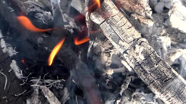 A campfire in nature, a fire on the branches of trees. Campfire in the forest.