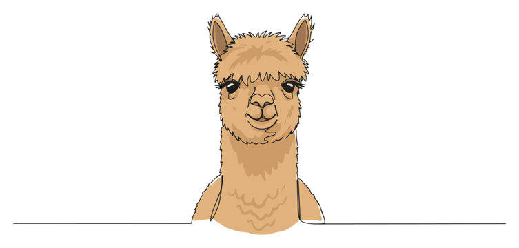 Single continuous line drawing of a cute smiling llama face Adorable farm animal character or mascot concept Minimalist vector illustration