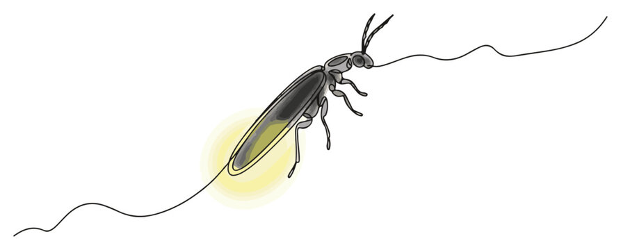 Single continuous line drawing of a glowing firefly insect Magical summer night and wildlife concept Minimalist vector illustration