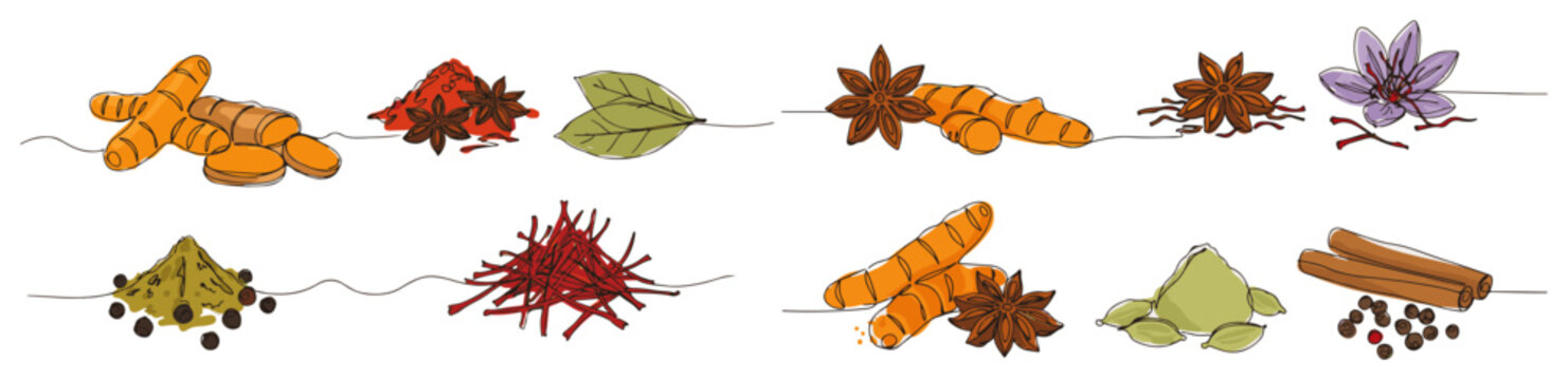 Large set of various spices and herbs. Collection of culinary ingredients. Continuous one line drawing with color vector illustration.
