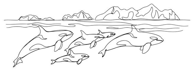 Orca pod swimming in the ocean with mountains landscape. Killer whale family. Continuous one line drawing vector illustration. © Wieslaw