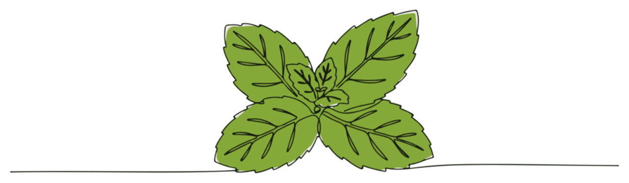 Single continuous line drawing of fresh mint leaves Aromatic herb for tea and culinary purposes concept Minimalist vector illustration