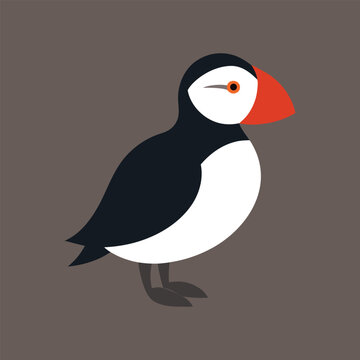 puffin vector art