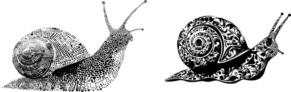 A meticulously crafted ramshorn snail in a flat vector style, with a stark black silhouette on a pure white background, exhibits crisp high contrast edges and minimalist stencil design, perfect for