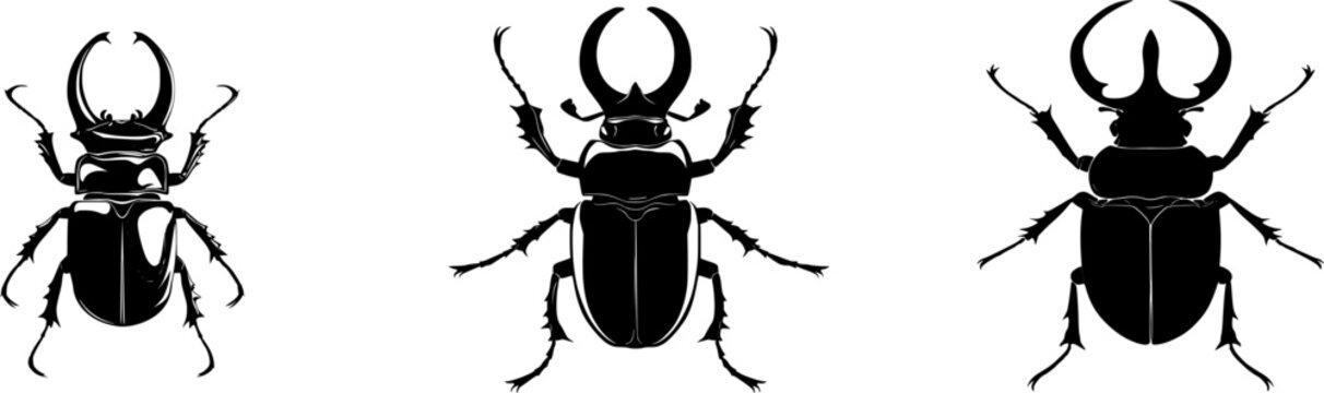 A striking Japanese rhinoceros beetle illustration in a flat vector style, featuring stark black silhouette against a pure white background with crisp high contrast edges and minimalist stencil design