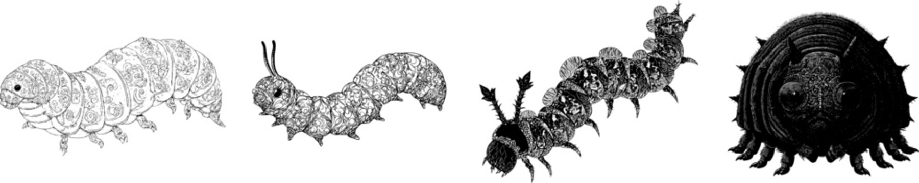 A meticulously detailed velvet worm with intricate patterns and a solid white background, rendered in monochrome coloring book style, showcases clear boundaries and flat 2D graphics