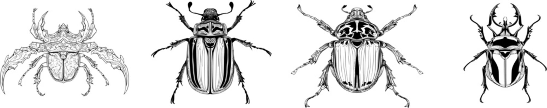 A Goliath beetle illustration in a top-down symmetrical view showcases intricate details with bold black ink outlines against a solid white background, suitable for vectorization due to its clean