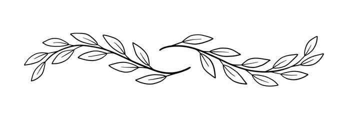 Hand-drawn divider with laurel branches © Northern Owl