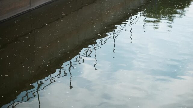 Calm canal water reflecting railing posts, soft ripples scattering white petals across surface, concrete wall casting shadow, blue sky reflection, tranquil moody minimal urban composition ideal