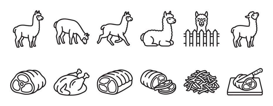 Collection of black outline icons depicting various alpaca poses and different cuts of meat, presented in a simple, clean style
