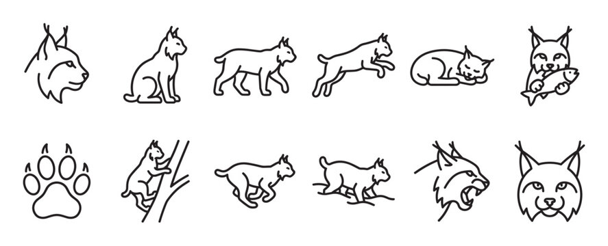 Collection of minimalist black outline lynx icons depicting various poses, actions, and a paw print, presented in a clean, graphic style