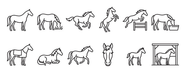 Obraz premium Collection of various horse outline icons depicting different poses and activities in a simple, clean line art style