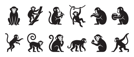 Fototapeta premium Collection of twelve black monkey silhouettes in various poses, including sitting, climbing, swinging, and holding fruit, presented as graphic icons