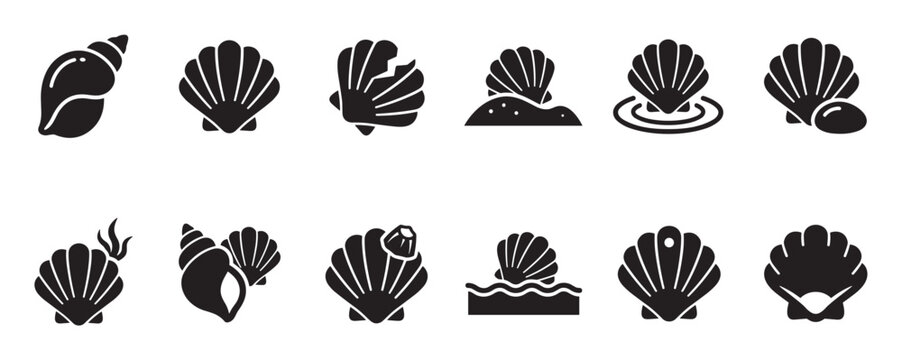 Collection of various black seashell and conch shell icons, featuring different shapes and marine elements in a minimalist graphic style