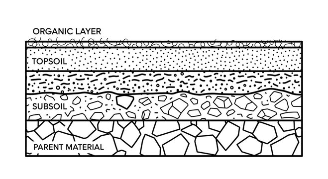 Soil Profile Layers: Organic Layer, Topsoil, Subsoil, and Parent Material Cross-section