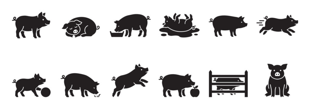 Collection of various black pig silhouette icons showing different actions and poses in a clean graphic style