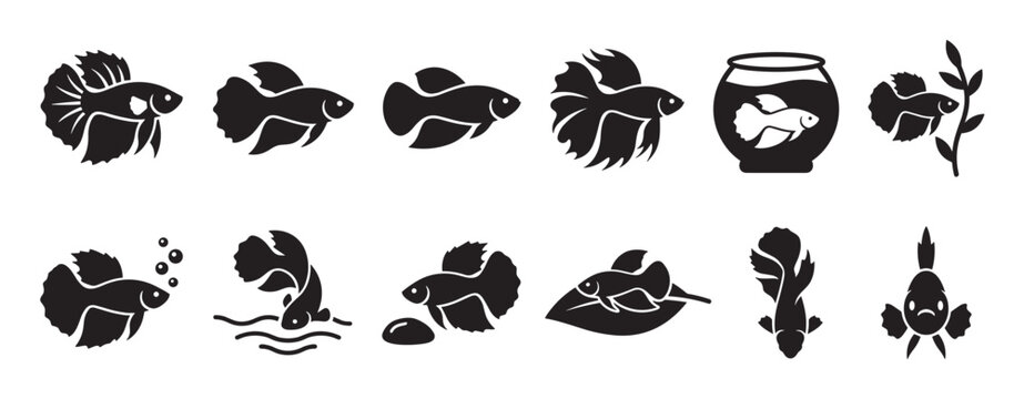 Various black silhouette betta fish icons illustrate different poses and styles of the popular aquatic pet, rendered in a clean graphic design