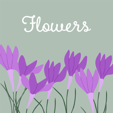 Simple colour spring poster with flowers. Good for 
greetings,  postcards, posters, covers, promotions, banners and flyers