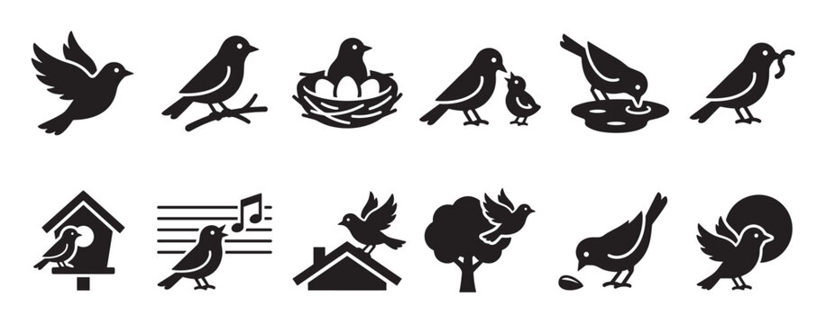 Collection of various black bird icons showing different activities like flying, nesting, feeding, and singing in a simple graphic style