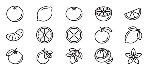 Obraz premium Various citrus fruit outline icons including whole oranges, lemons, slices, and a blossom, presented in a clean, minimalist style