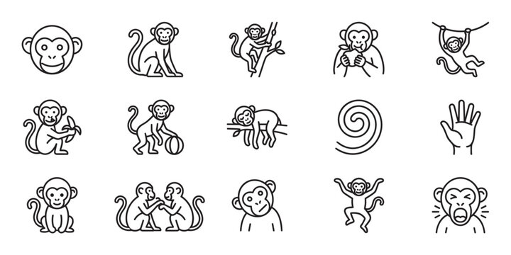 Collection of various monkey line art icons showing different poses, actions, and expressions in a clean, minimalist style